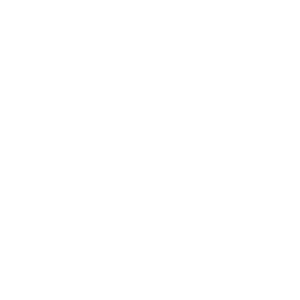 BIN mic logo